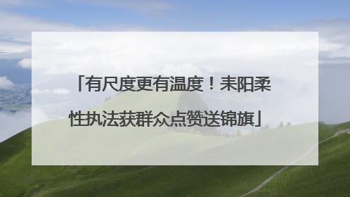 有尺度更有温度！耒阳柔性执法获群众点赞送锦旗