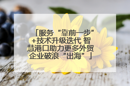 服务“靠前一步”+技术升级迭代 智慧港口助力更多外贸企业破浪“出海”