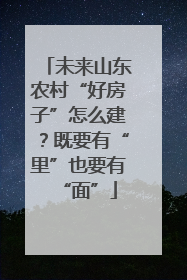 未来山东农村“好房子”怎么建？既要有“里”也要有“面”