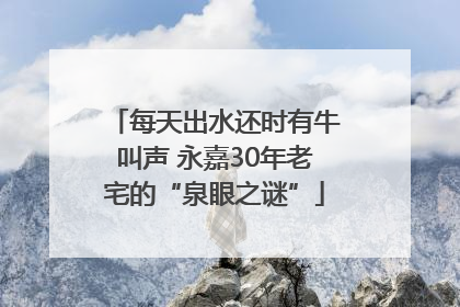 每天出水还时有牛叫声 永嘉30年老宅的“泉眼之谜”