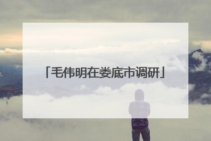 毛伟明在娄底市调研