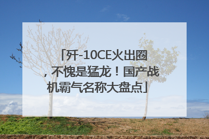 歼-10CE火出圈，不愧是猛龙！国产战机霸气名称大盘点