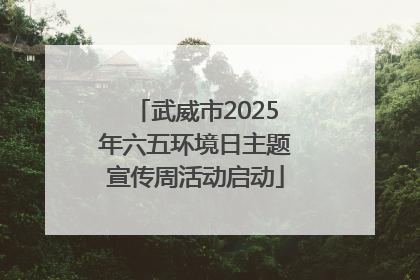 武威市2025年六五环境日主题宣传周活动启动