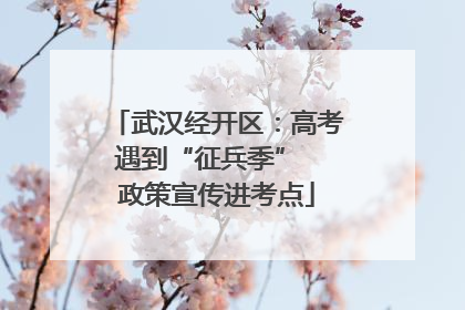 武汉经开区：高考遇到“征兵季”  政策宣传进考点