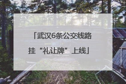 武汉6条公交线路挂“礼让牌”上线