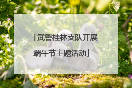 武警桂林支队开展端午节主题活动