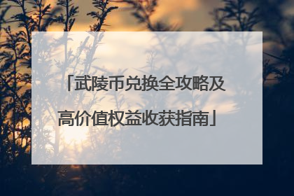 武陵币兑换全攻略及高价值权益收获指南