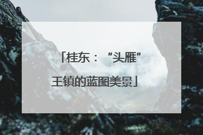 桂东：“头雁”王镇的蓝图美景