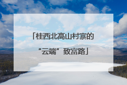 桂西北高山村寨的“云端”致富路