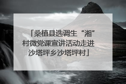 桑植县选调生“湘”村微党课宣讲活动走进沙塔坪乡沙塔坪村