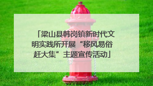 梁山县韩岗镇新时代文明实践所开展“移风易俗赶大集”主题宣传活动