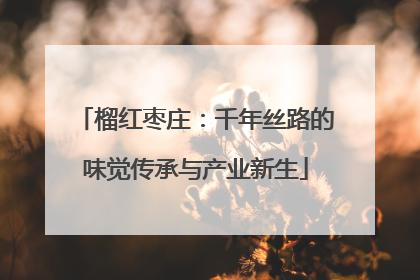 榴红枣庄：千年丝路的味觉传承与产业新生