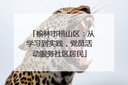 榆林市横山区：从学习到实践，党员活动服务社区居民