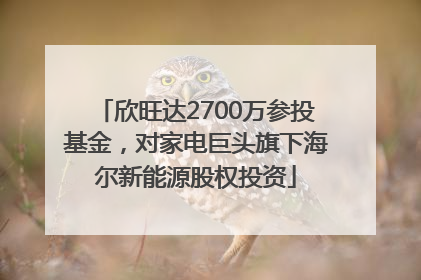 欣旺达2700万参投基金，对家电巨头旗下海尔新能源股权投资