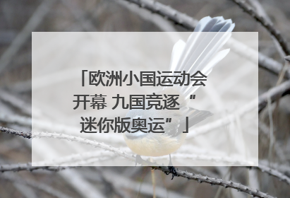 欧洲小国运动会开幕 九国竞逐“迷你版奥运”
