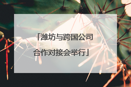 潍坊与跨国公司合作对接会举行