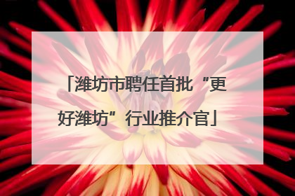 潍坊市聘任首批“更好潍坊”行业推介官