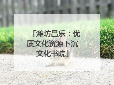 潍坊昌乐：优质文化资源下沉文化书院