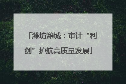 潍坊潍城：审计“利剑”护航高质量发展