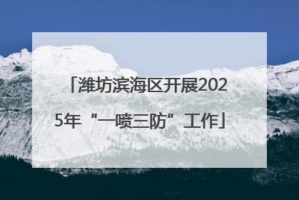 潍坊滨海区开展2025年“一喷三防”工作