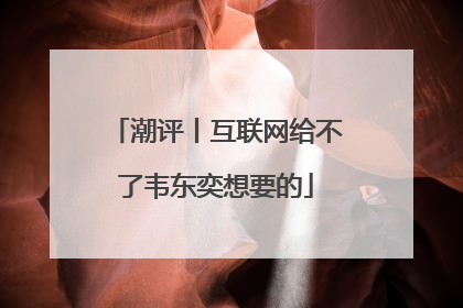 潮评丨互联网给不了韦东奕想要的