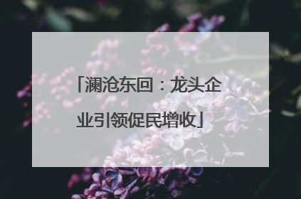 澜沧东回：龙头企业引领促民增收