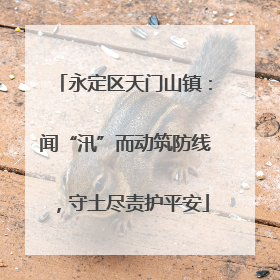 永定区天门山镇：闻“汛”而动筑防线，守土尽责护平安