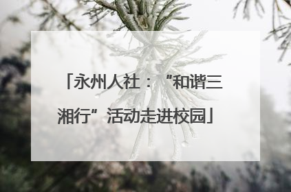 永州人社：“和谐三湘行”活动走进校园