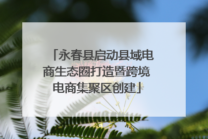 永春县启动县域电商生态圈打造暨跨境电商集聚区创建
