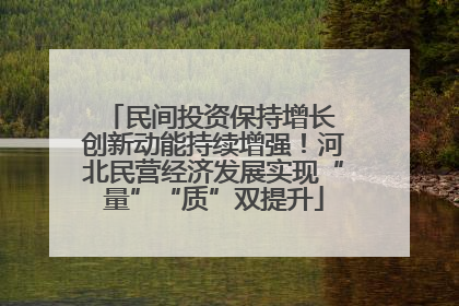 民间投资保持增长 创新动能持续增强！河北民营经济发展实现“量”“质”双提升