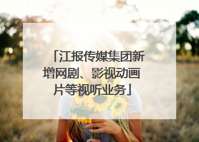 江报传媒集团新增网剧、影视动画片等视听业务