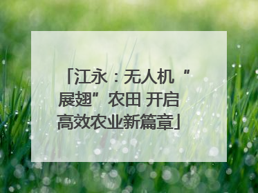 江永：无人机“展翅”农田 开启高效农业新篇章
