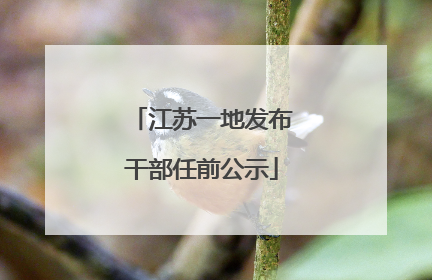 江苏一地发布干部任前公示