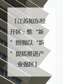 江苏如东经开区：惟“新”图强以“新”提质推进产业强区