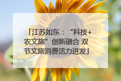 江苏如东：“科技+农文旅”创新融合 双节文旅消费活力迸发