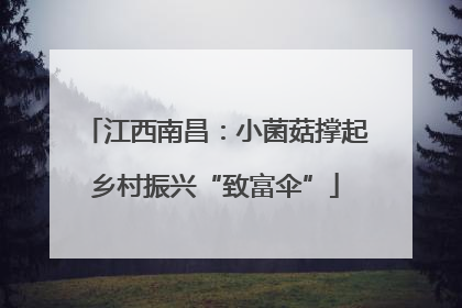 江西南昌：小菌菇撑起乡村振兴“致富伞”