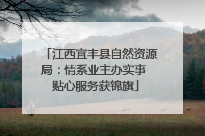 江西宜丰县自然资源局：情系业主办实事 贴心服务获锦旗
