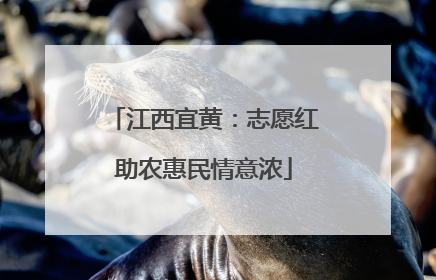 江西宜黄：志愿红助农惠民情意浓