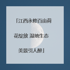 江西永修百亩荷花绽放 湿地生态美景引人醉