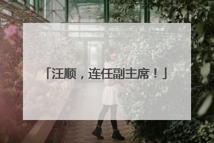 汪顺，连任副主席！