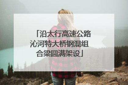 沿太行高速公路沁河特大桥钢混组合梁圆满架设
