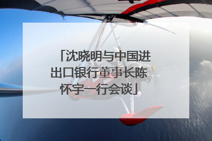 沈晓明与中国进出口银行董事长陈怀宇一行会谈