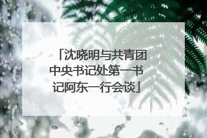 沈晓明与共青团中央书记处第一书记阿东一行会谈