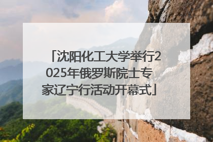 沈阳化工大学举行2025年俄罗斯院士专家辽宁行活动开幕式