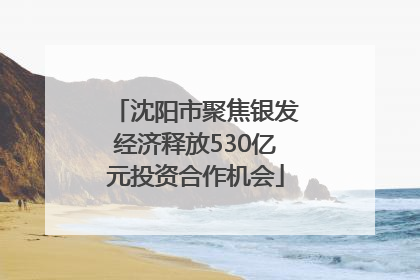 沈阳市聚焦银发经济释放530亿元投资合作机会