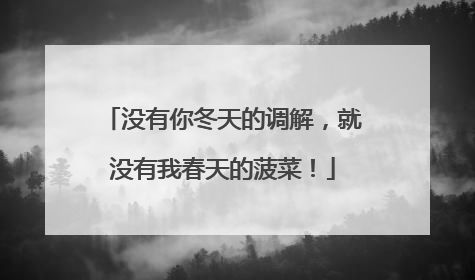 没有你冬天的调解，就没有我春天的菠菜！