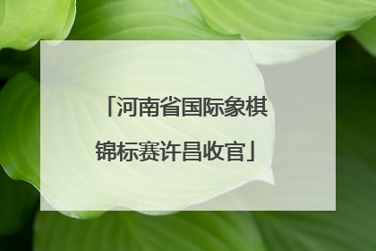 河南省国际象棋锦标赛许昌收官