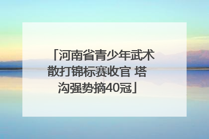 河南省青少年武术散打锦标赛收官 塔沟强势摘40冠