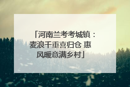 河南兰考考城镇：麦浪千重喜归仓 惠风暖意满乡村