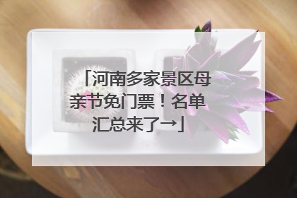 河南多家景区母亲节免门票！名单汇总来了→